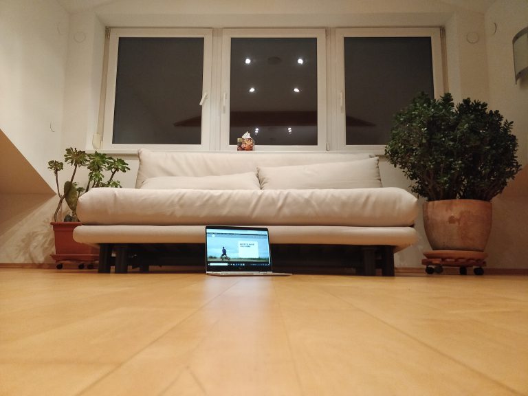 Stay at home society